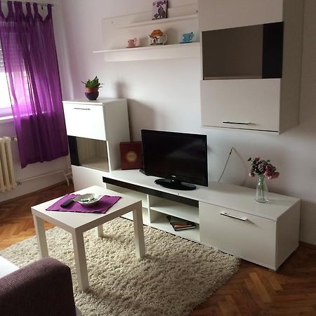 Tami Apartment Новий Сад Екстер'єр фото
