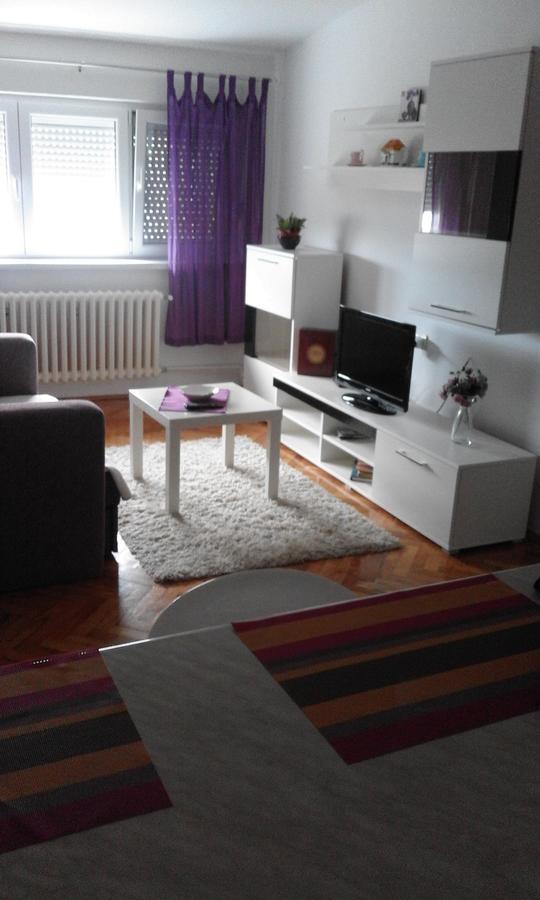 Tami Apartment Новий Сад Екстер'єр фото